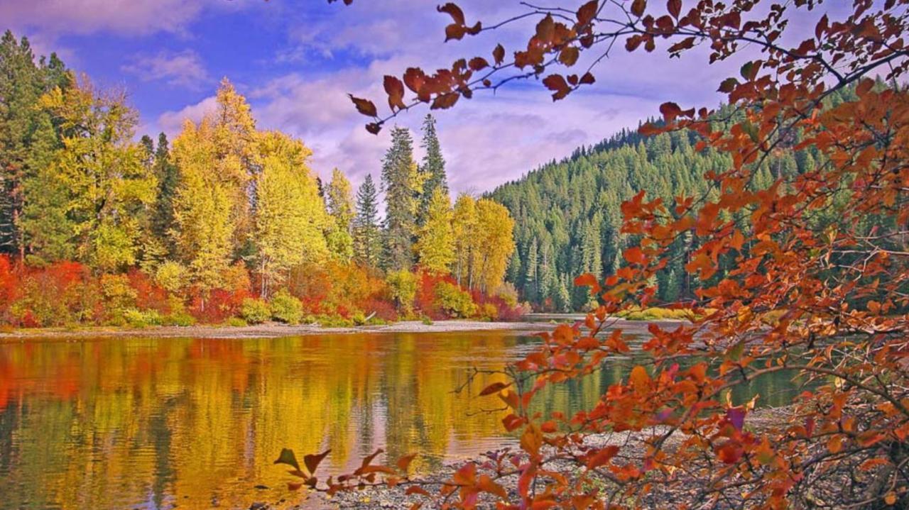 Luxe Leavenworth Cottage المظهر الخارجي الصورة